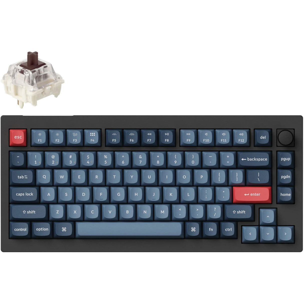 Clavier mécanique Keychron v1 max-d3 rgb (noir, disposition américaine (qwerty), gateron jupiter brown, 75%, leds rgb, pbt double-shot, échange à chaud, 2,4 ghz | bluetooth | usb-c, bouton)