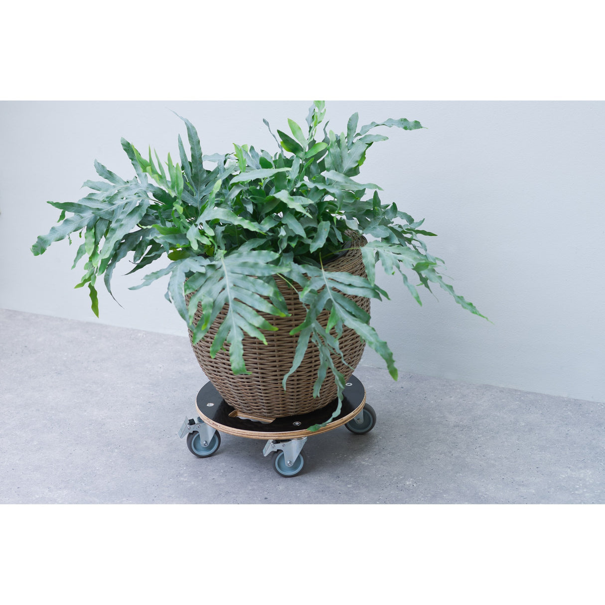 Nature Nature Plant Trolley Round