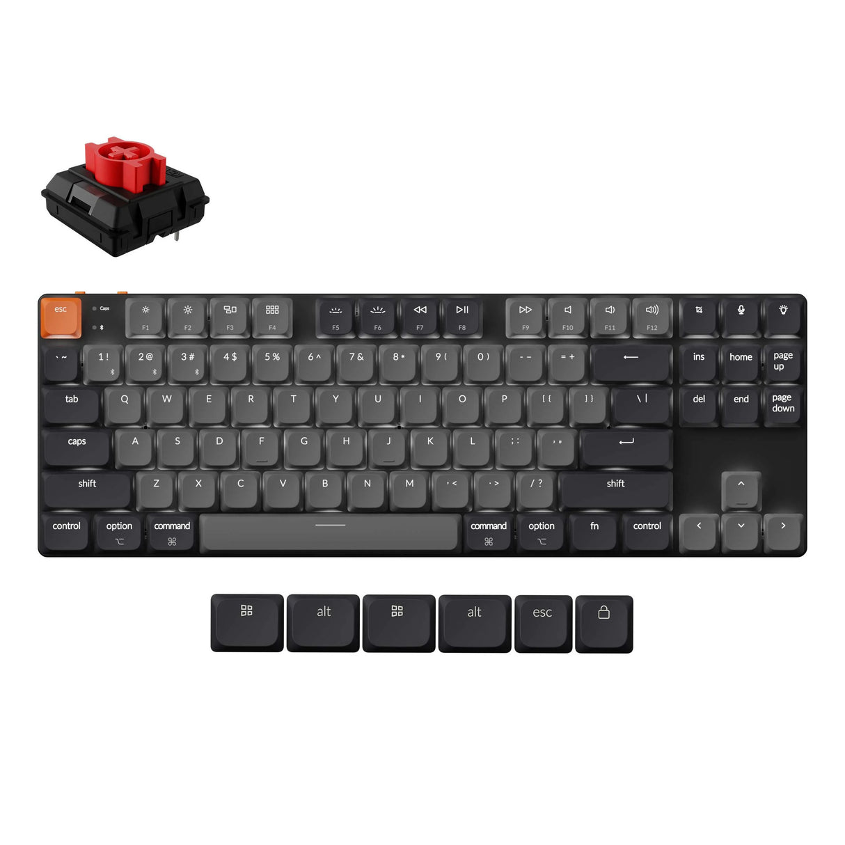 Keychron k1 qmk-a1, clavier (noir, disposition américaine, pompon de lait rouge, 80%, LED blanches, touches abs, usb-c | bluetooth 5.2)