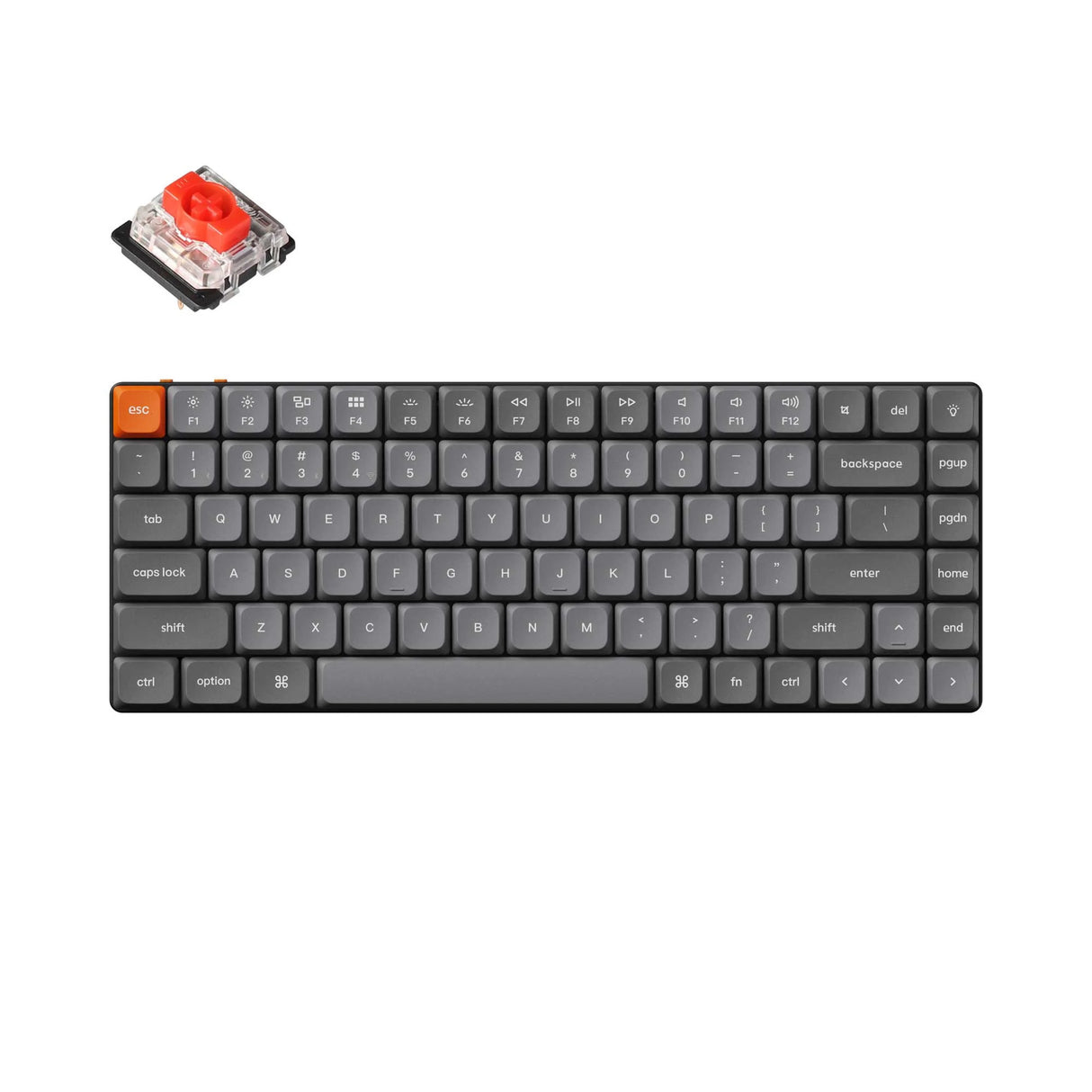 Keychron k3 max-a1, clavier (noir, disposition américaine, gateron low profile 2.0 mécanique rouge, leds blanches, 75%, double-shot pbt, 2.4ghz | bluetooth 5.1 | usb-c)