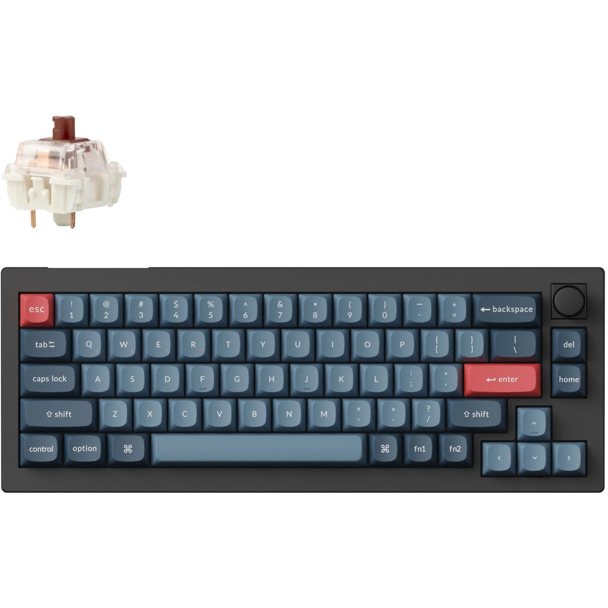 Clavier mécanique Keychron v2 max-d3 rgb (noir, disposition américaine (qwerty), gateron jupiter brown, 65%, leds rgb, pbt double-shot, hot swap, 2.4 | bluetooth | usb-c, bouton)