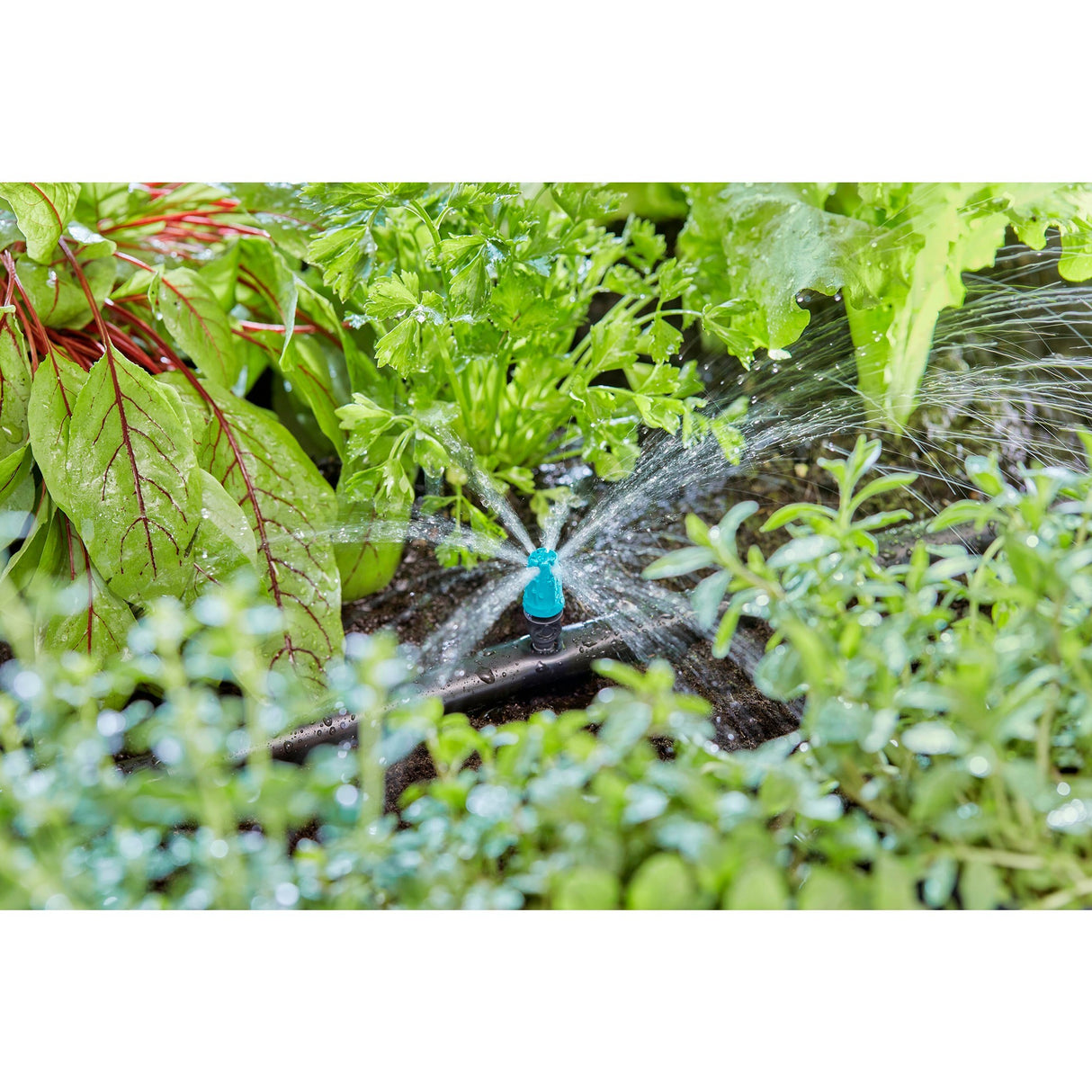 Pulvérisateur Gardena pour petites surfaces