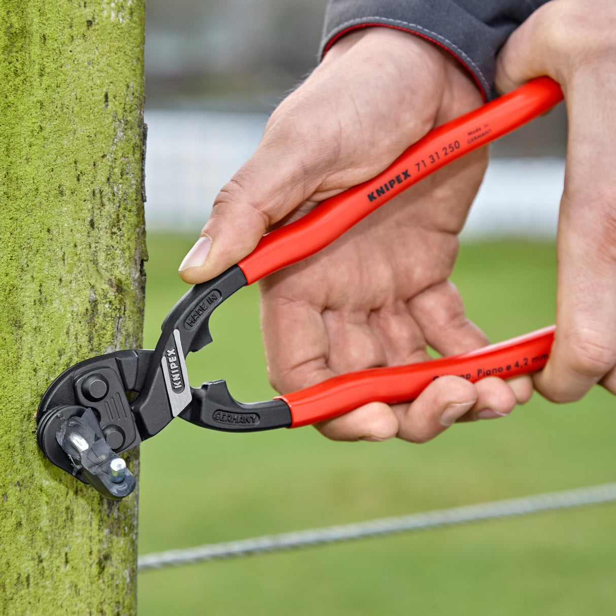 Knipex 7131250 coupe-boulons cobolt xl - compact - 250mm