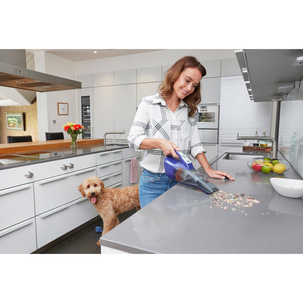 Aspirateur à main pour animaux de compagnie Black+decker dvb315jp 12v 1,5ah avec brosse pour animaux