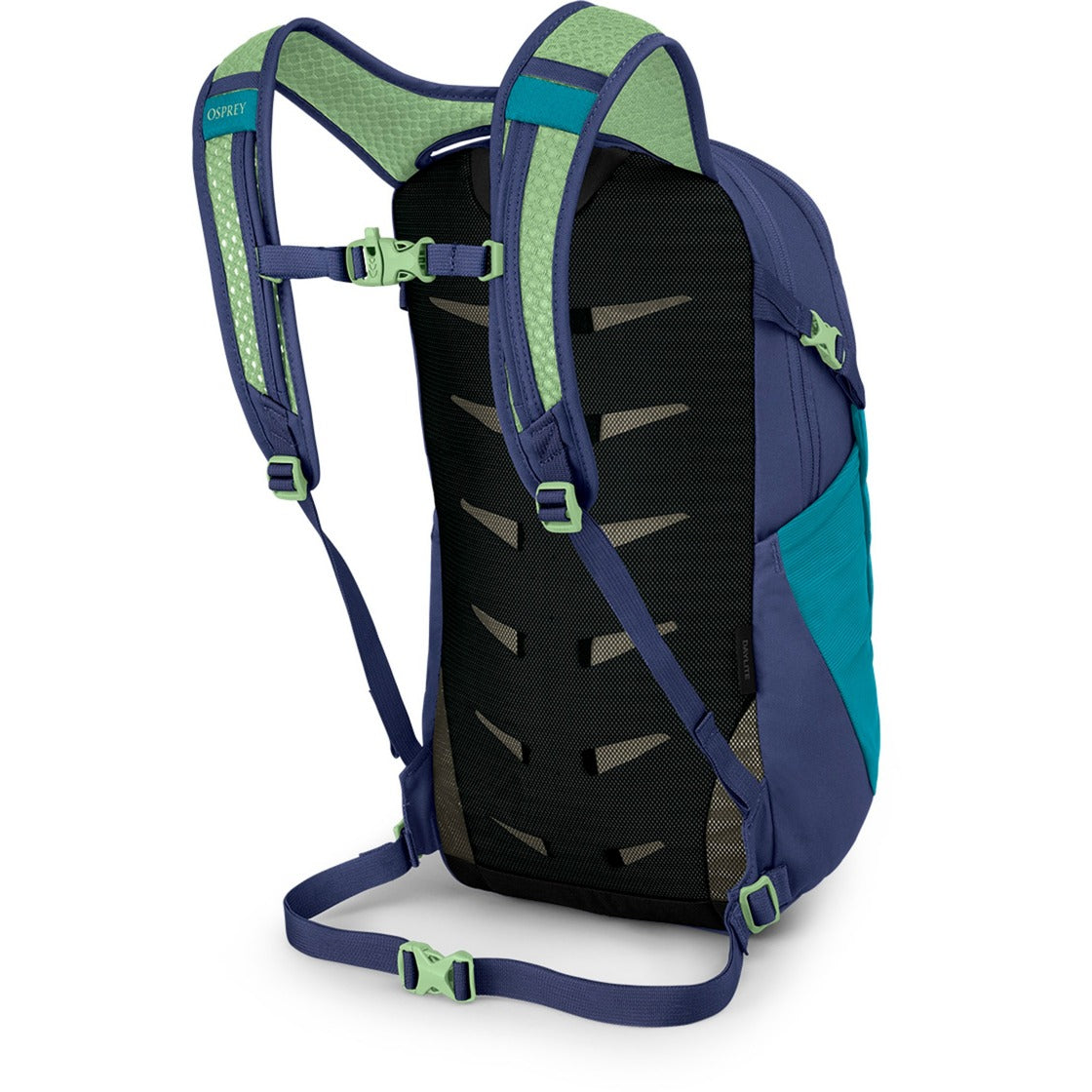 Balbuzard pêcheur Daylite