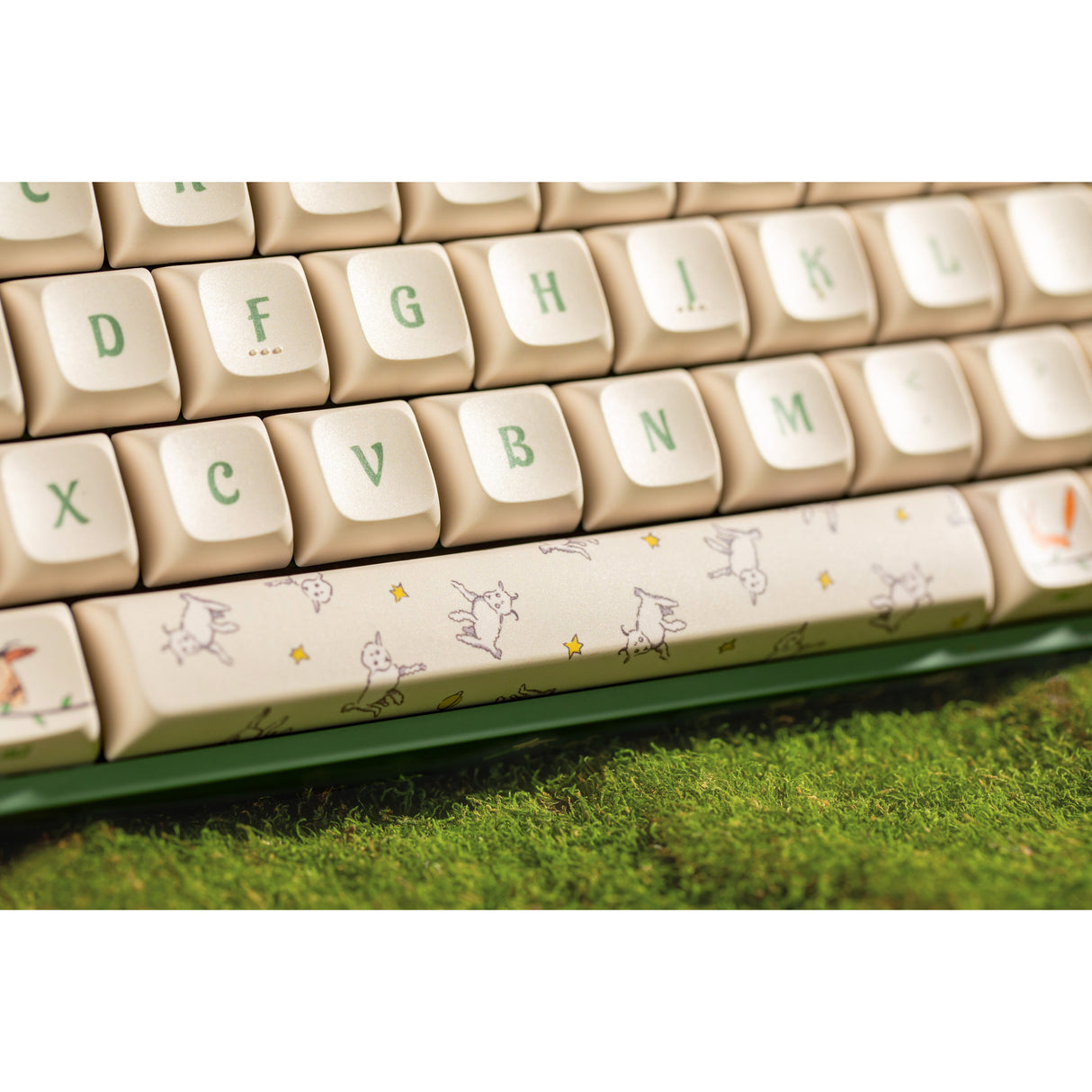 Clavier de jeu mécanique RVB Iqunix f97 floral date (vert, disposition américaine (qwerty), rouge gateron, 96 %, LED RVB, remplaçable à chaud, pbt, 2,4 GHz | Bluetooth 5.1 | USB-C)