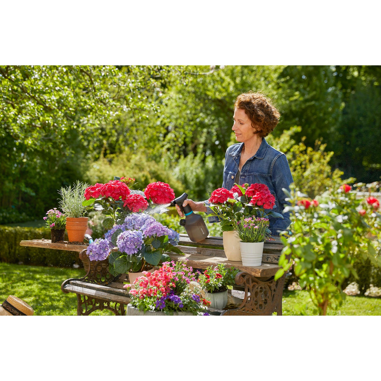 Vapeur de la plante Gardena 1 l