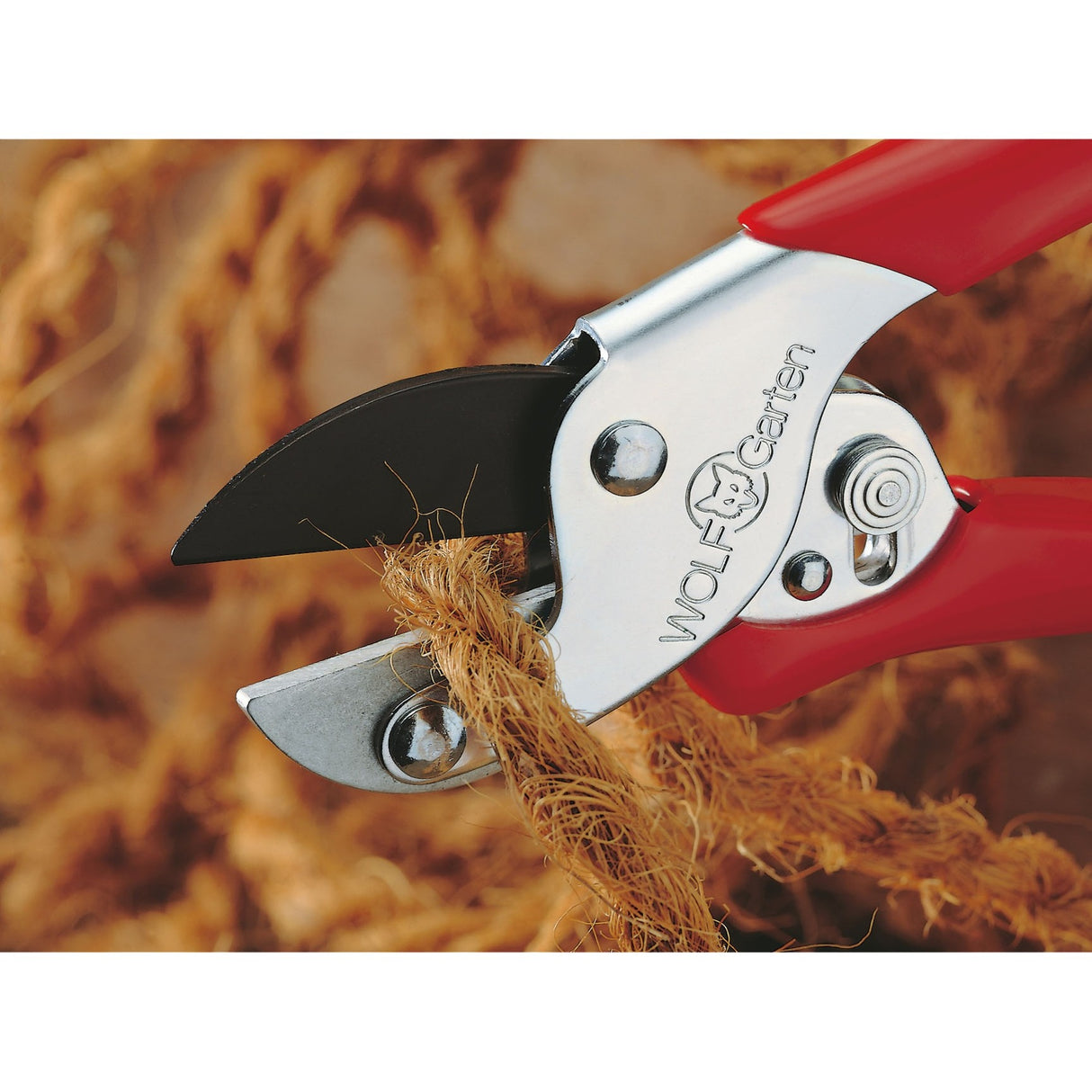 Wolf-Garten RS et Srung Shears