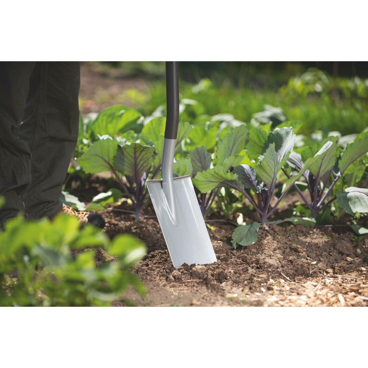 Wolf-garten - pelle as-d