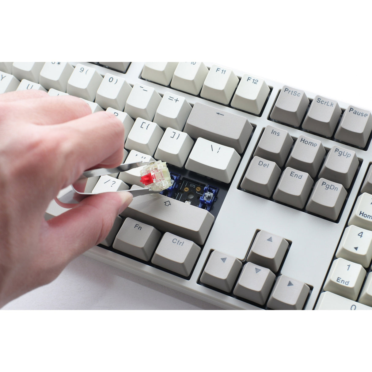 Ducky Origine Millésime
