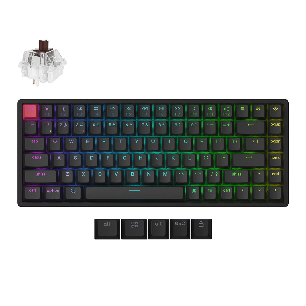 Clavier mécanique Keychron k2 qmk-c3 rgb (noir, disposition américaine (qwerty), super marron, 75%, rgb, cerise double-shot pbt, bluetooth 5.2 | usb-c)