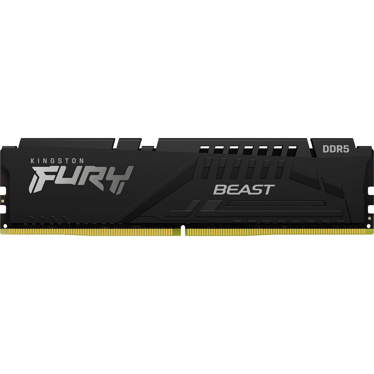 Kingston Fury Kingston Fury 16 Go DDR5-5600