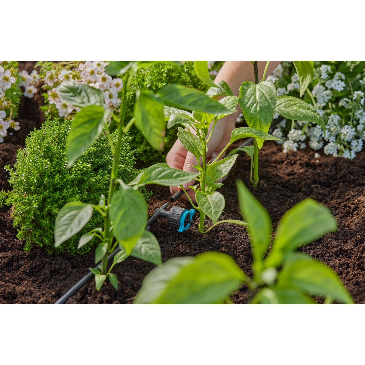 Gardena réglable Serieddruppelaar 1-8 L u, boussole de pression