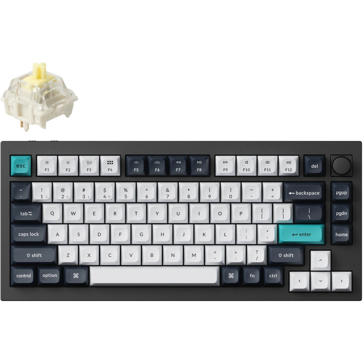 Clavier mécanique Keychron Q1 Max-M4 RGB (noir, disposition US (QWERTY), Gateron Jupiter Banana, 75 %, LED RVB, PBT double-shot KSA, hot swap, bouton, 2,4 GHz | Bluetooth 5.1 | USB-C)