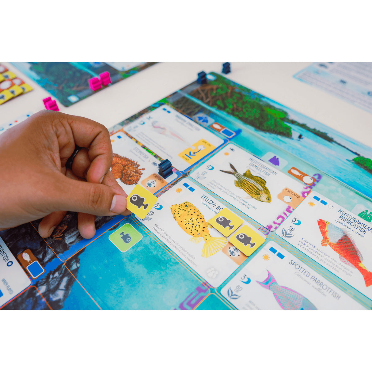 999games 999 jeux jeu de société Finspan