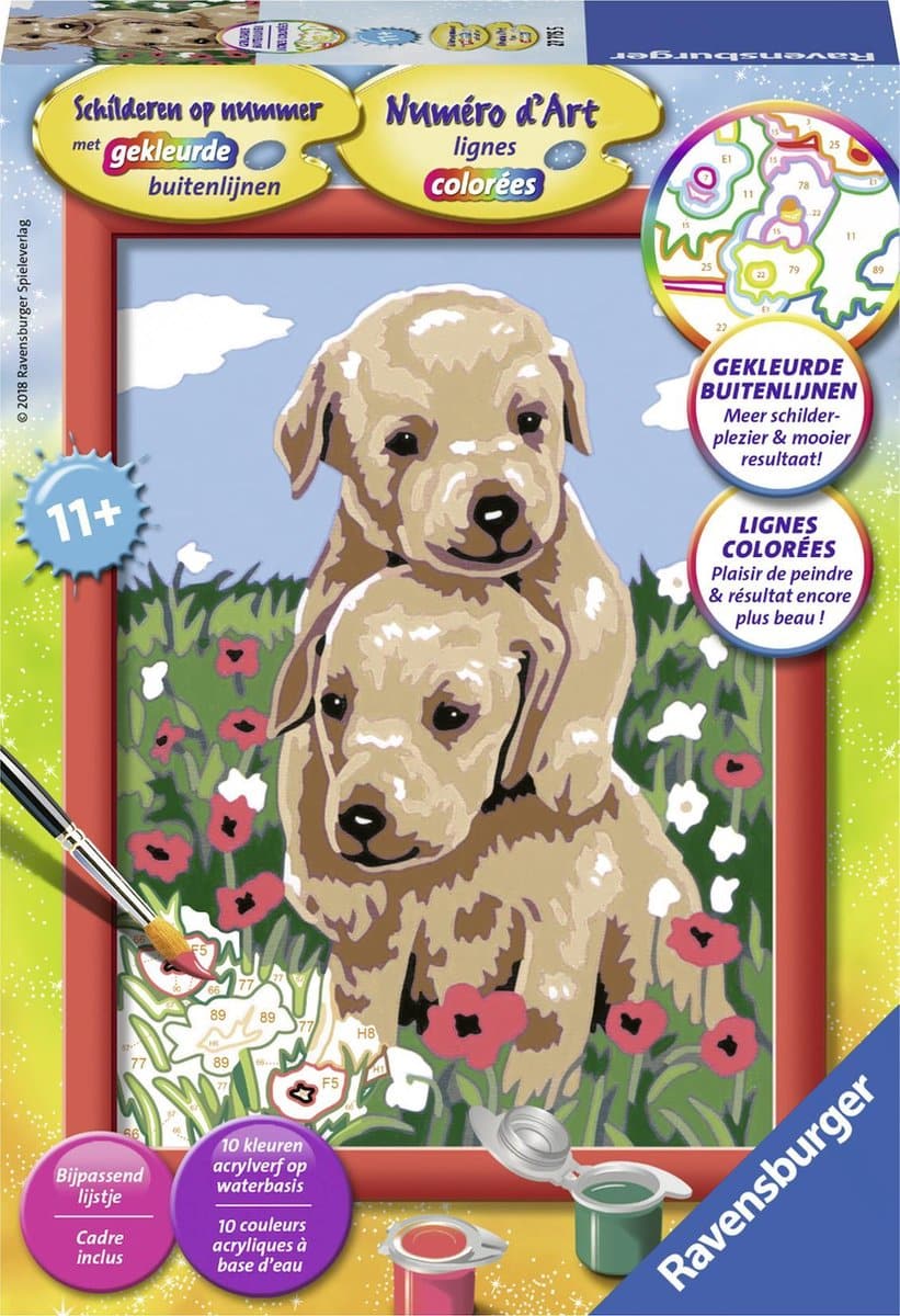 Peinture par numéros - Chiots câlins