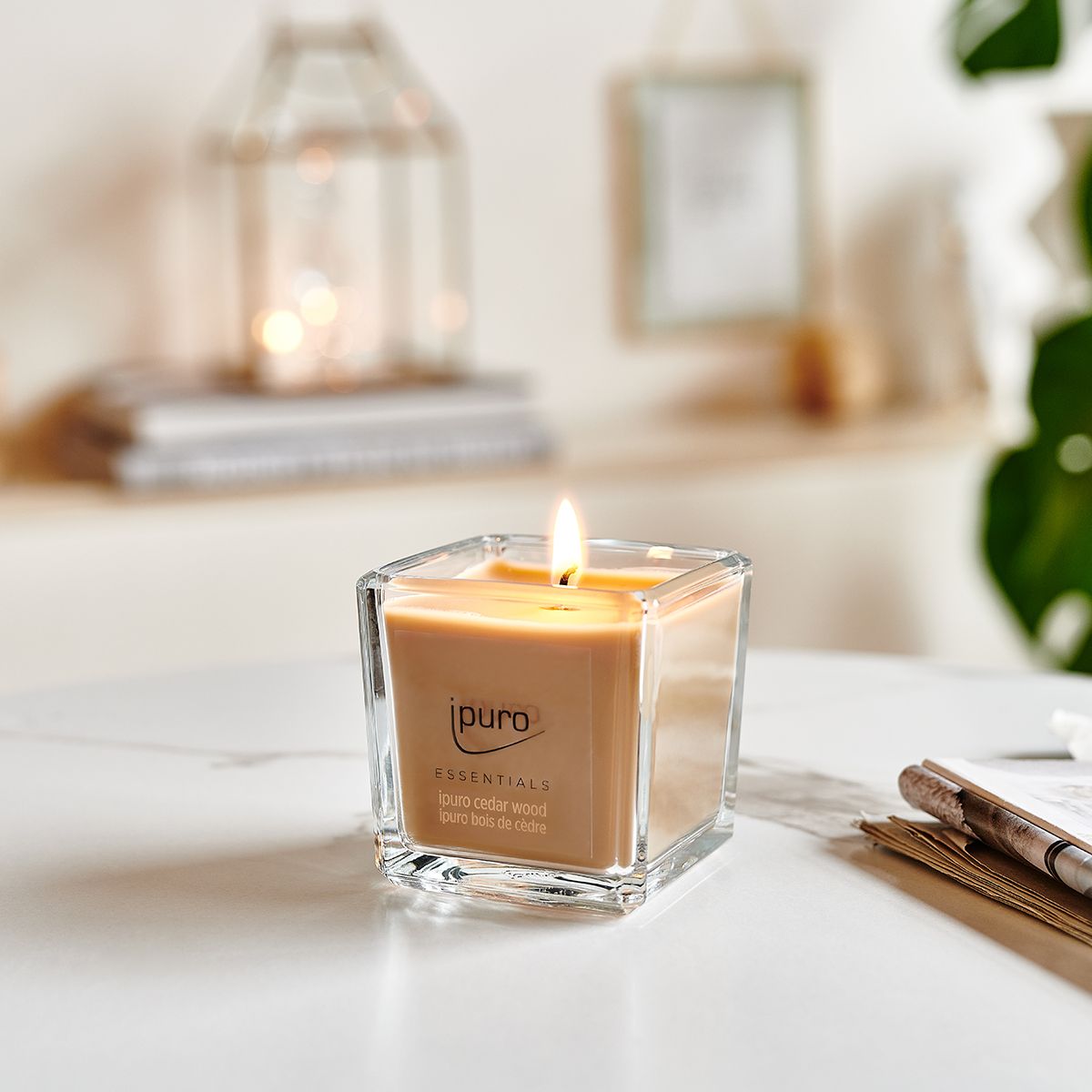 Bougie parfumée Ipuro bois de cèdre 125gr.