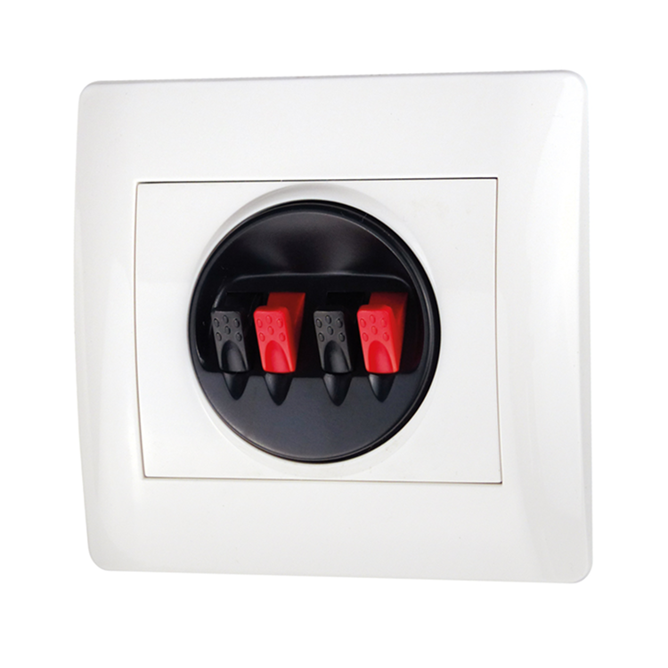 Connexion haut-parleur intégrée
