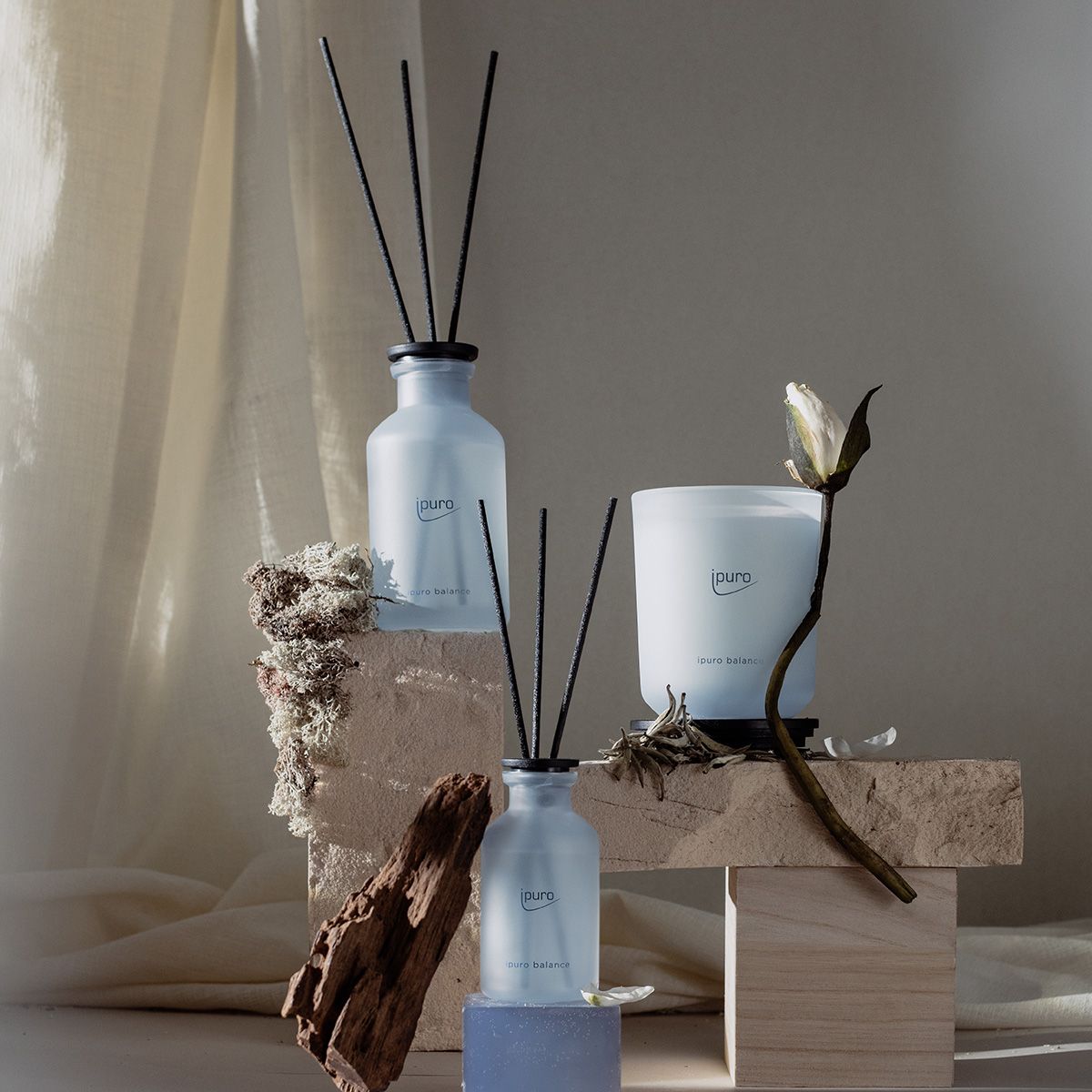 Diffuseur de parfum Ipuro équilibre 75ml