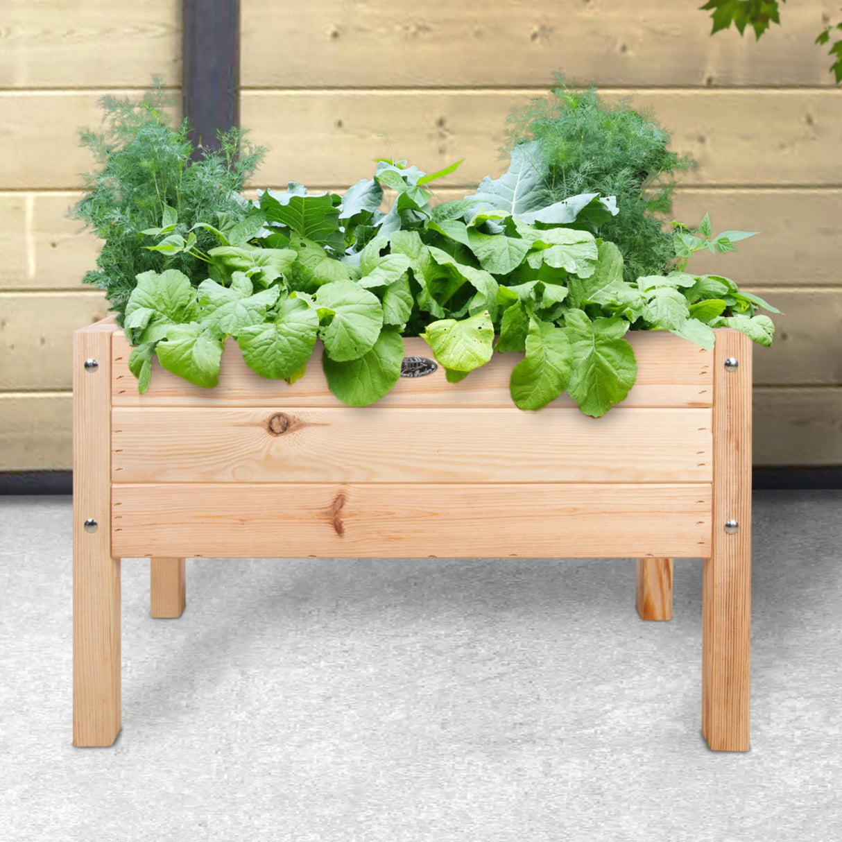 Table de culture pour enfants design Esschert en bois de pin 40,6x78,8xh50cm