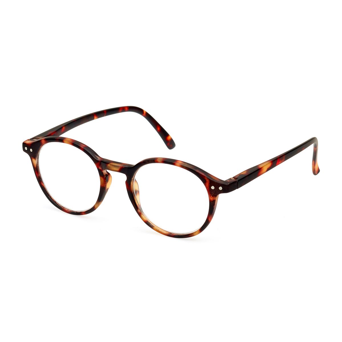 Lunettes de lecture Spectrum havane moderne vers 1,50