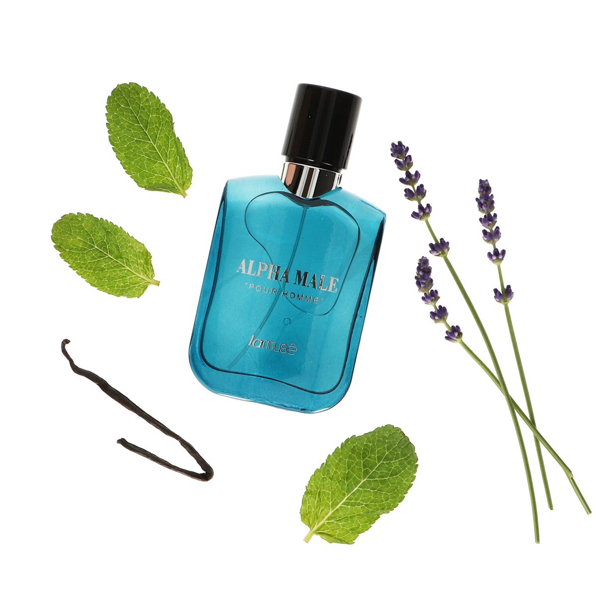 Lamusê lamuse eau de toilette spray homme alpha male pour homme 100ml