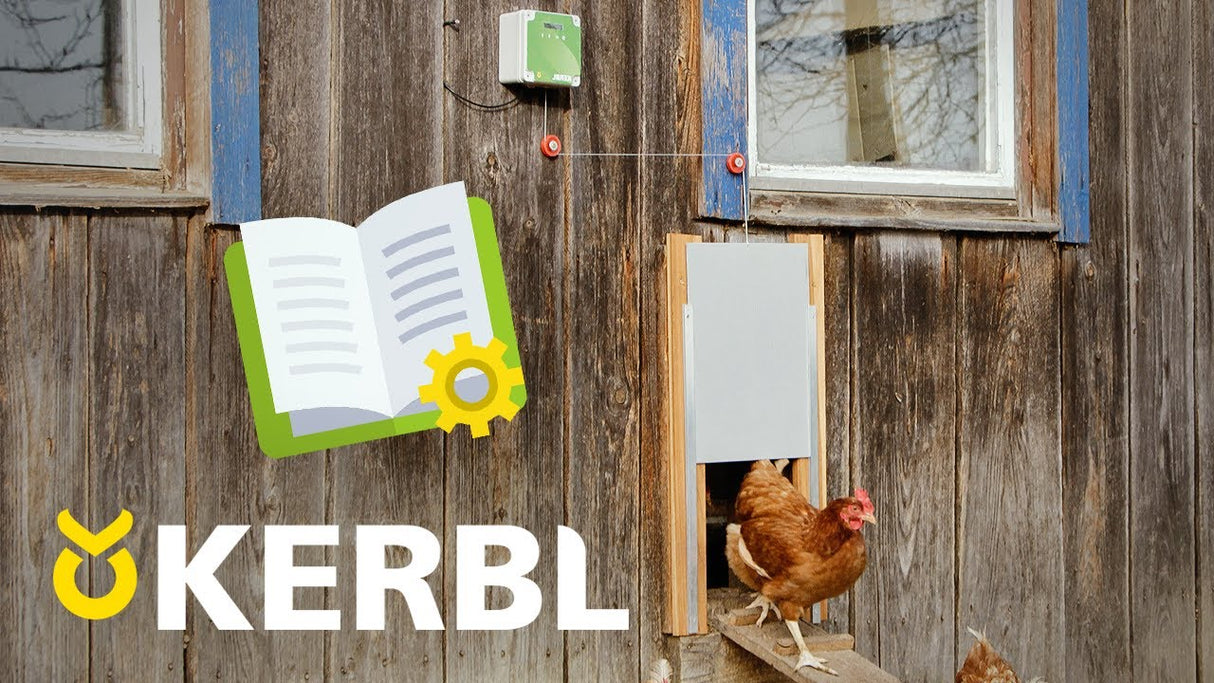 Ensemble porte poulet automatique 30x40cm