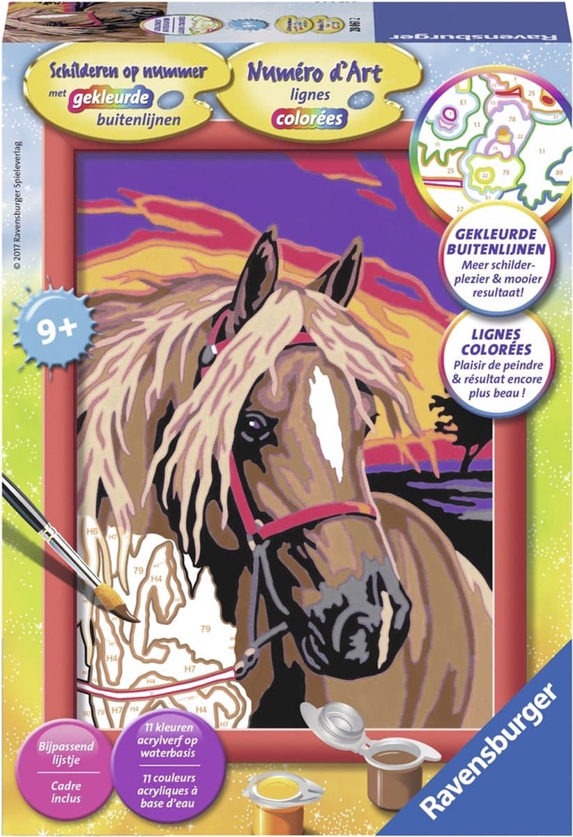 Peinture par numéros - Cheval de rêve
