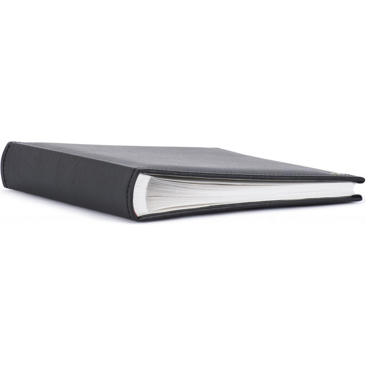 Fotoalbum - lonzo