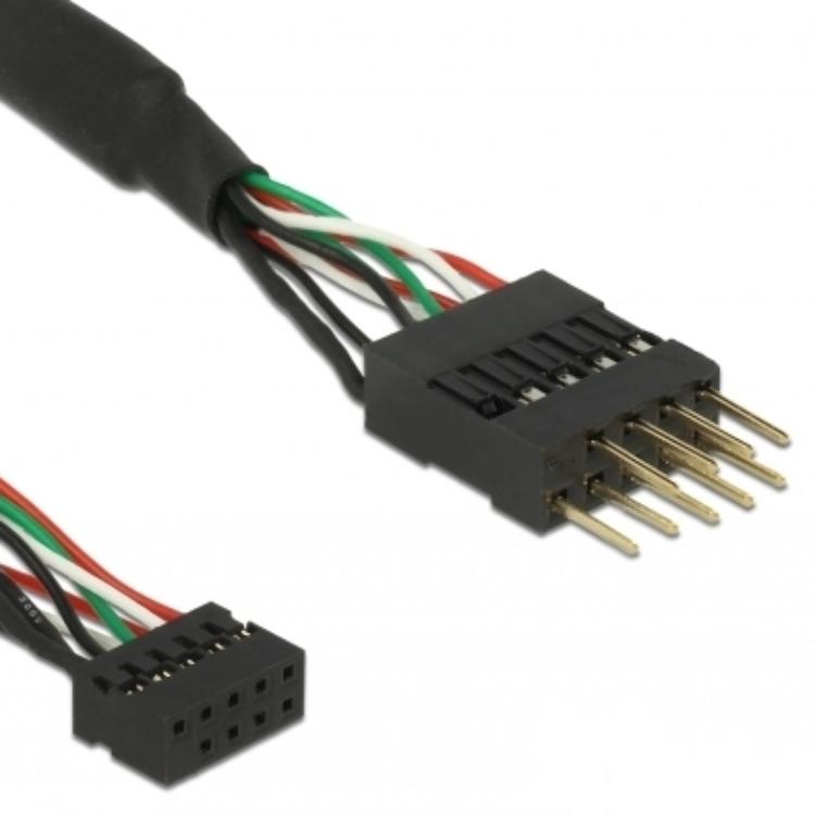 Delock delock kb usb 2.0 bu10pin-st10pi noir 0,1m
