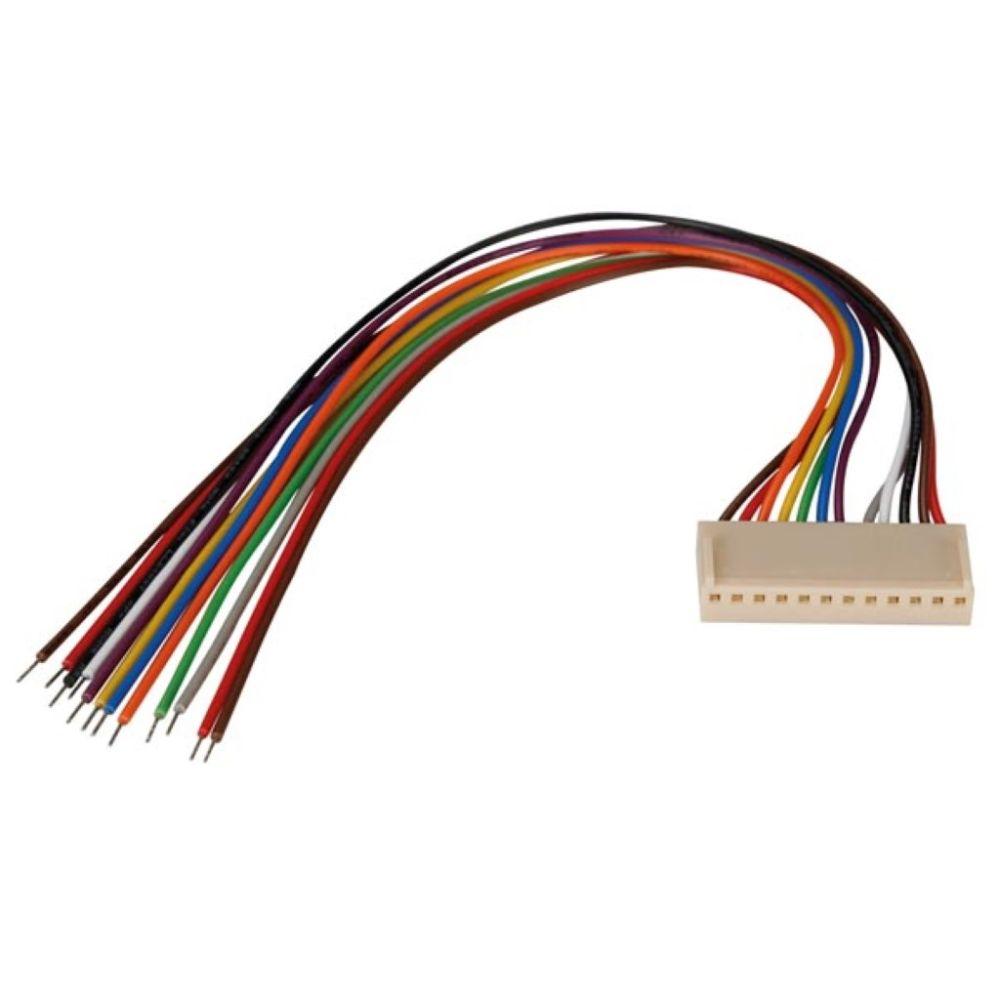 Connecteur d'impression - femelle - 12 contacts 20cm
