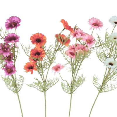 Margriet 74cm l 4 couleurs assorties | 6 pièces