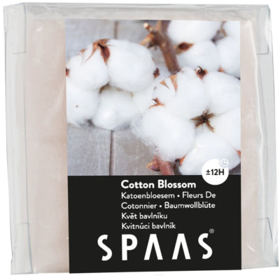 La cire Spaas (r) fond la fleur de coton 6,5 cm | 24 pièces