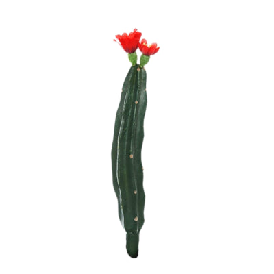 Cactus avec fleur rouge vert 23 cm | 24 pièces