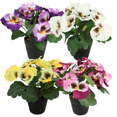 Violette en pot en plastique env. 21cmh couleurs assorties | 4 pièces