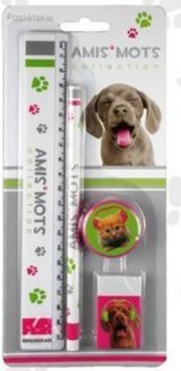 Coffret d'écriture Van der Doelen avec imprimé chien et chat