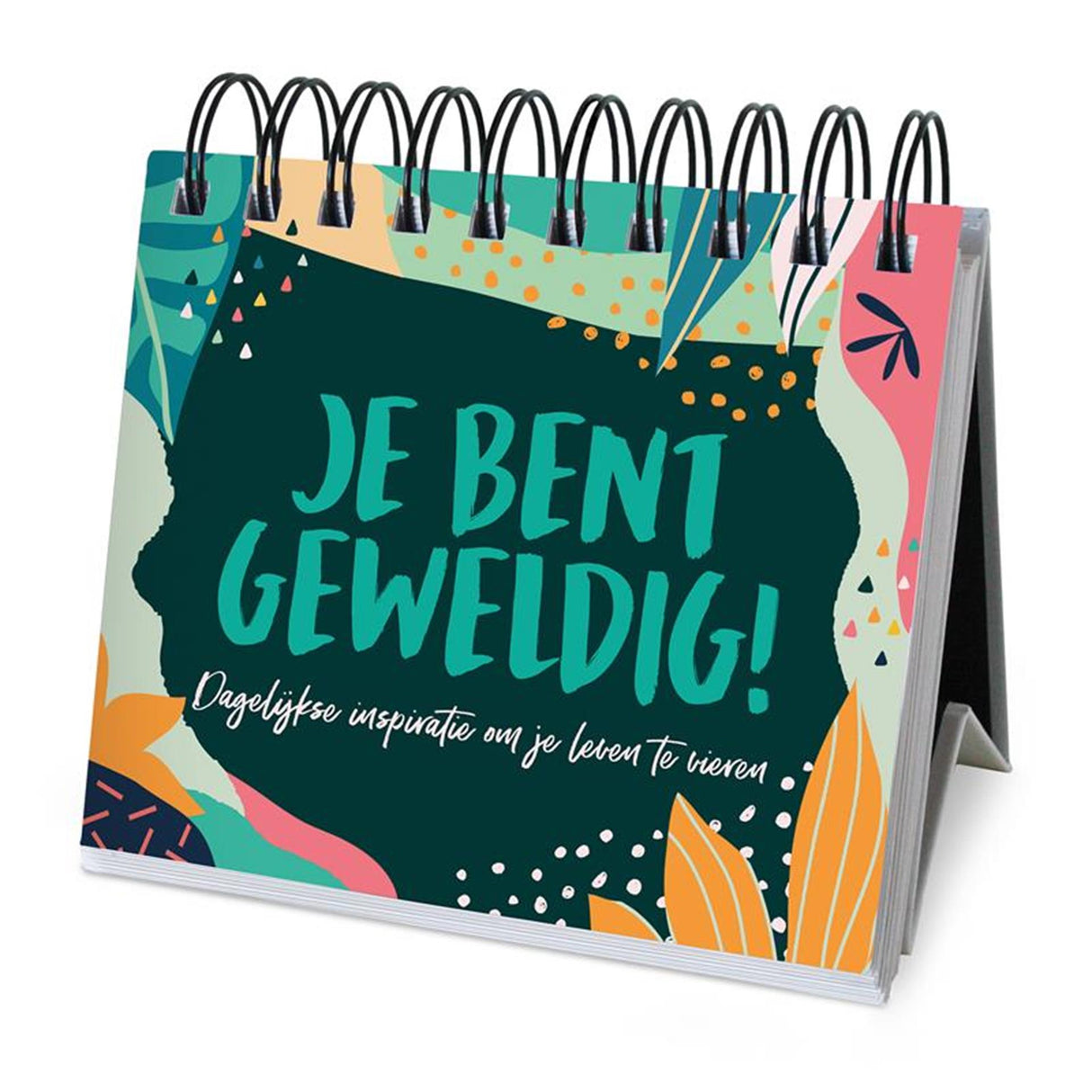 Livre cadeau 365 jours Imagebooks - Vous êtes génial !