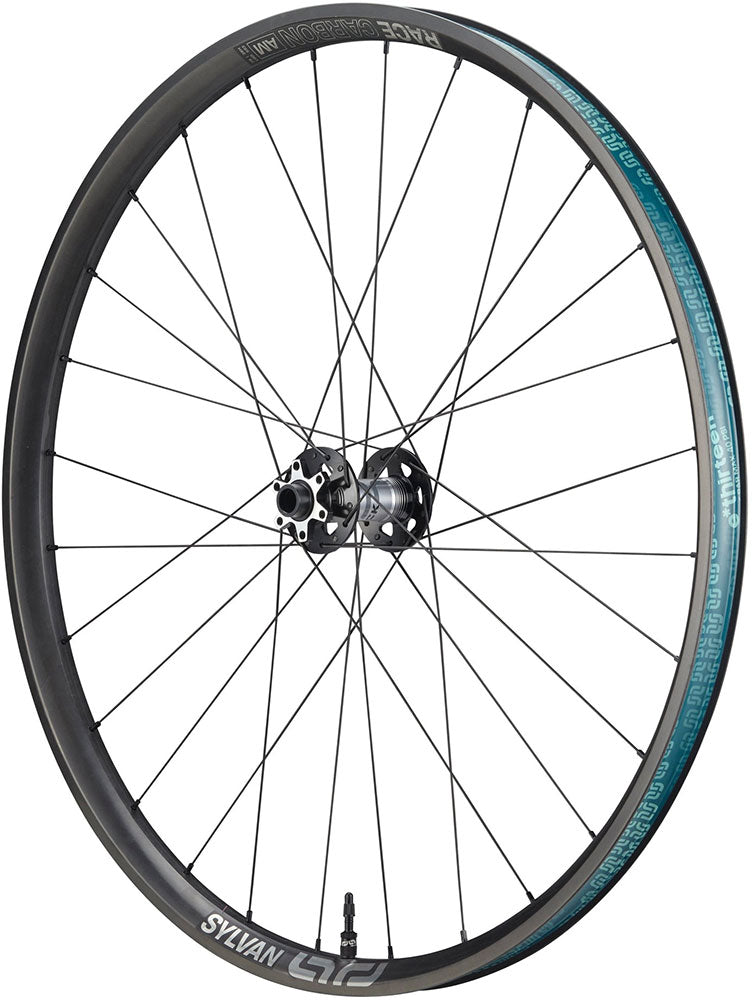 Roue avant E*thirteen Sylvan Sidekick Race All Mountain Carbon 29
