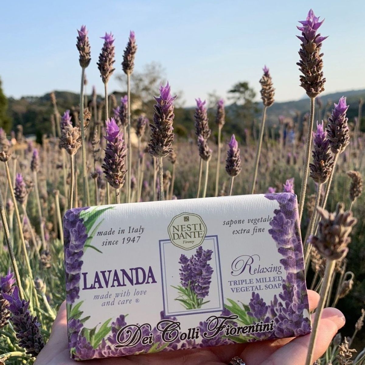 Nesti dante 6 pièces savon lavande fiorentini 250gr.