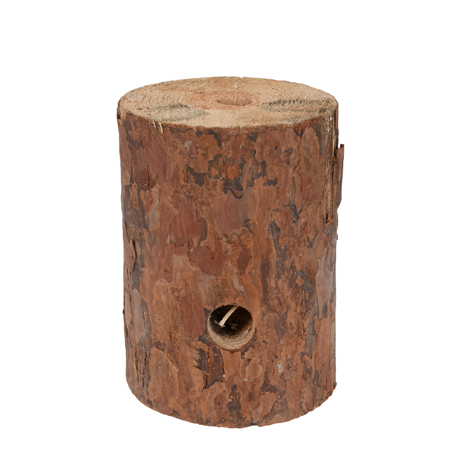 Torche suédoise BBQ 15x20 cm