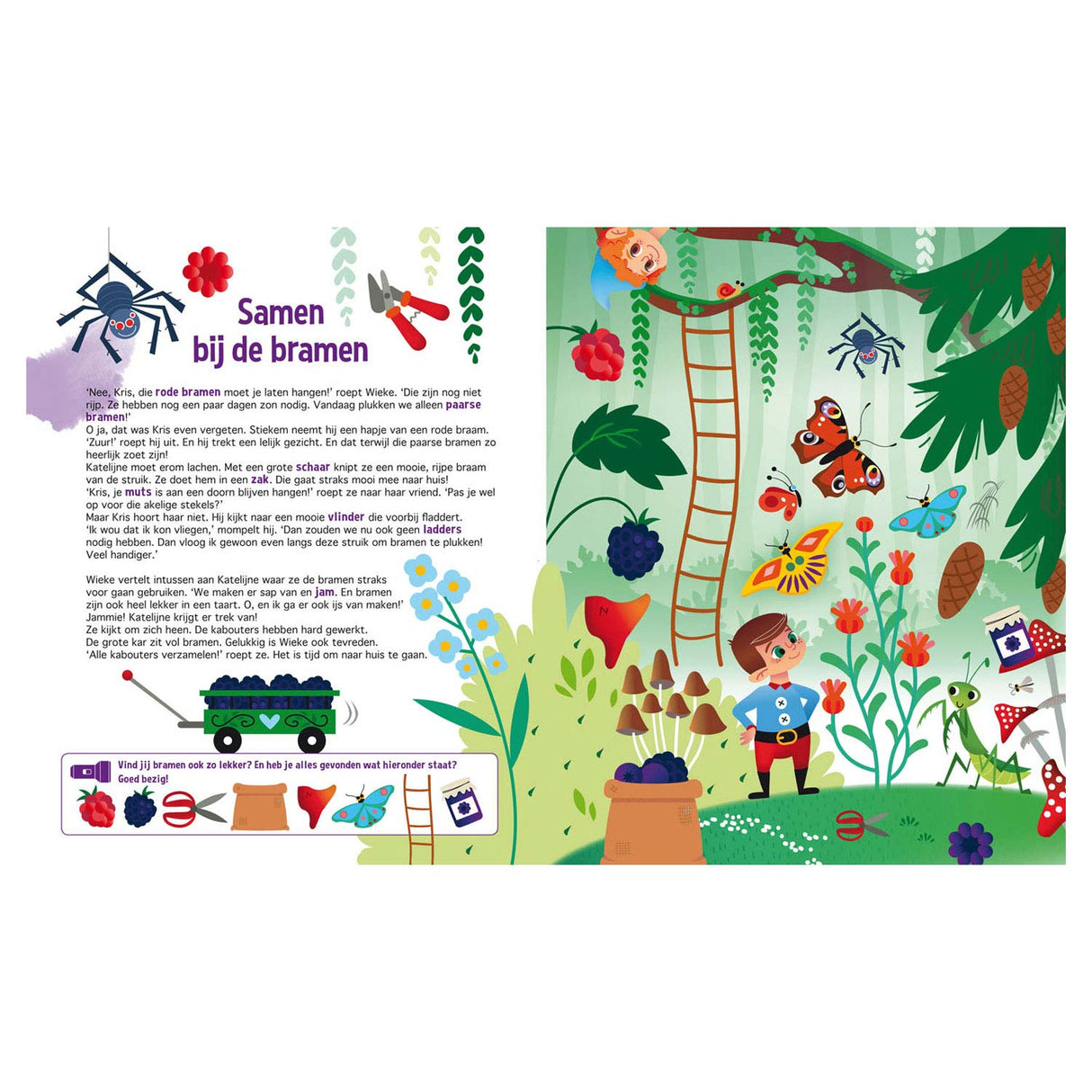 Lantern Publishers Recherchez dans la lampe de poche Kabouterbos + en carton