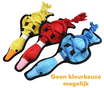 Heureux animal de compagnie sur les cordes croisées canard