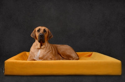 Bia Royal Velvet Cover pour Dog Basker Oker