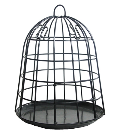 Meilleur pour les oiseaux Selective Bird Feeder