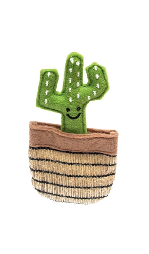 Cactus Fofos Mexique