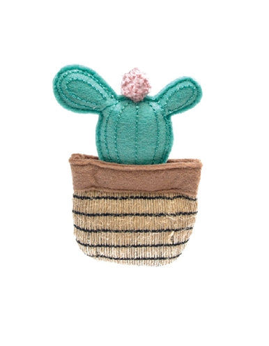 Cactus fofos cactus