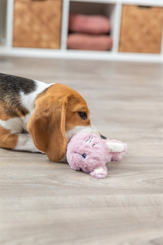Trixie en peluche haas avec anneau TPR pour chiot