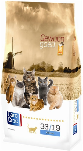 Chaton carocroc