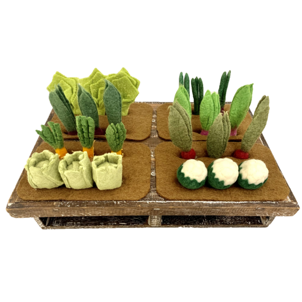 Papoose Toys Papoose Toys Grow-A-Garde 24pc
