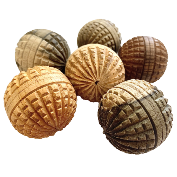 Papoose Toys Papoose Toys Mini WW ACORN BOULLES 6PC